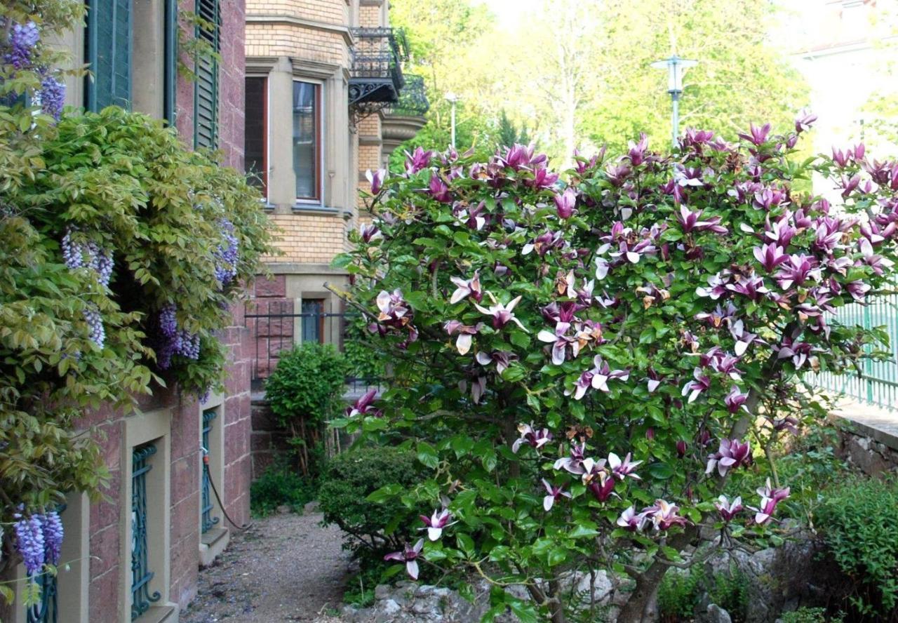 Apartmán Haus Haeselbarth Bad Kissingen Exteriér fotografie